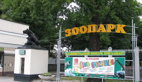 Калининградский зоопарк