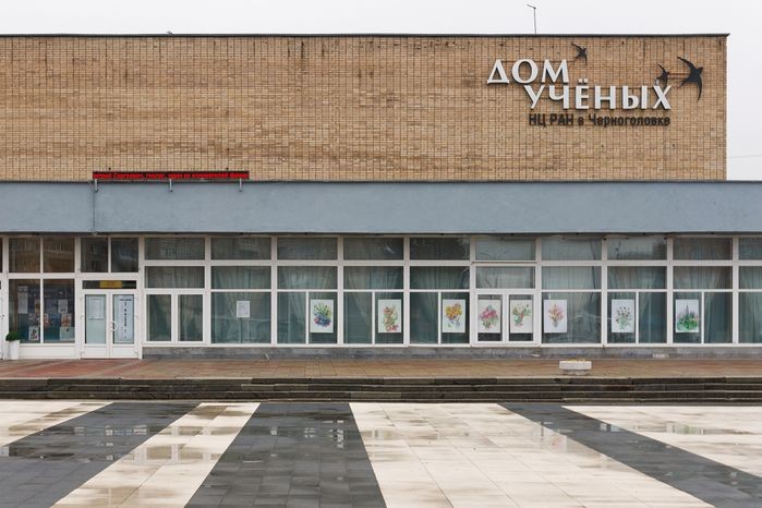 Дом учёных НЦ РАН: птицы на кирпичном торце, в витринах — сменная выставка