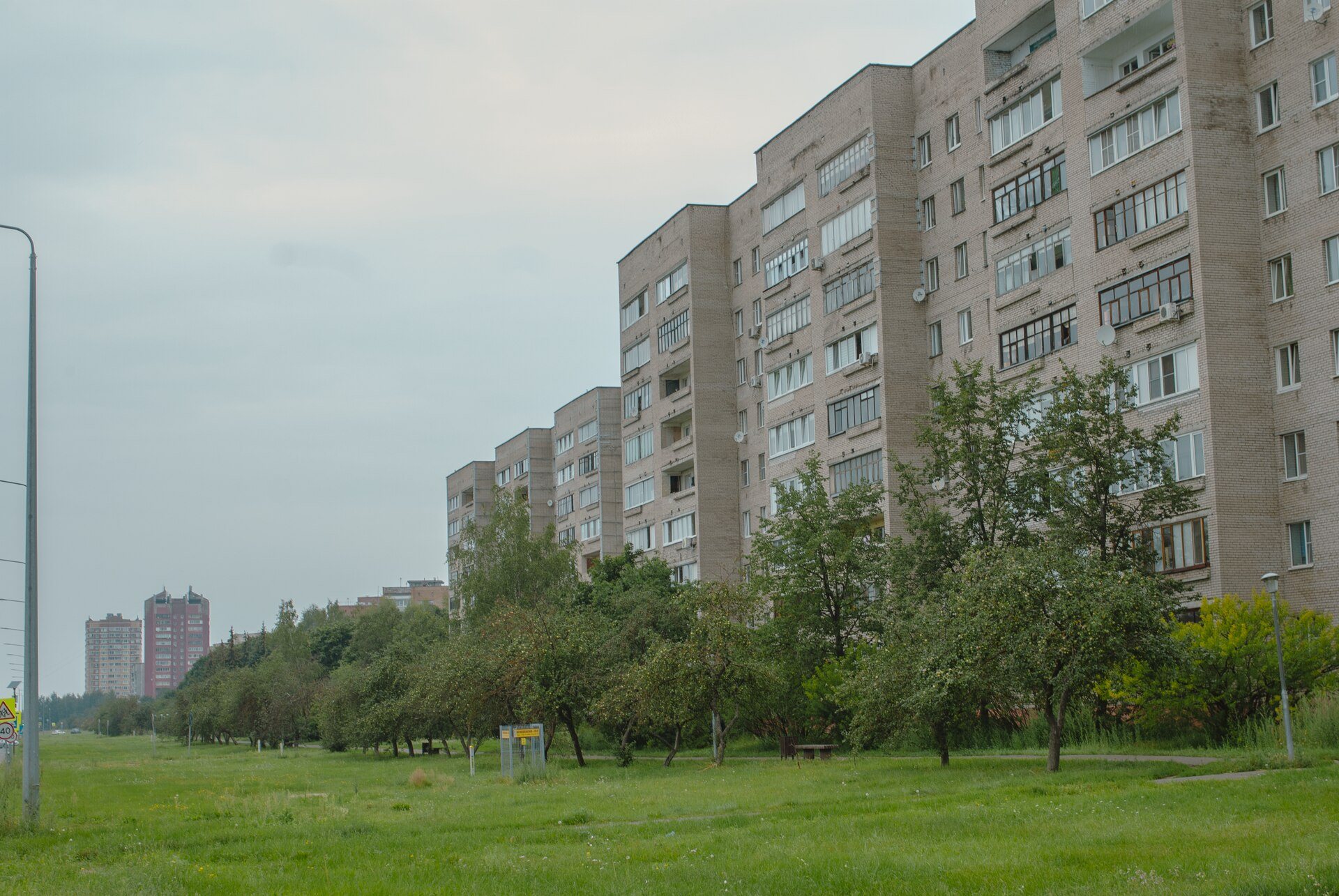 Жилые кварталы наукограда стоят прямо в сосновом лесу