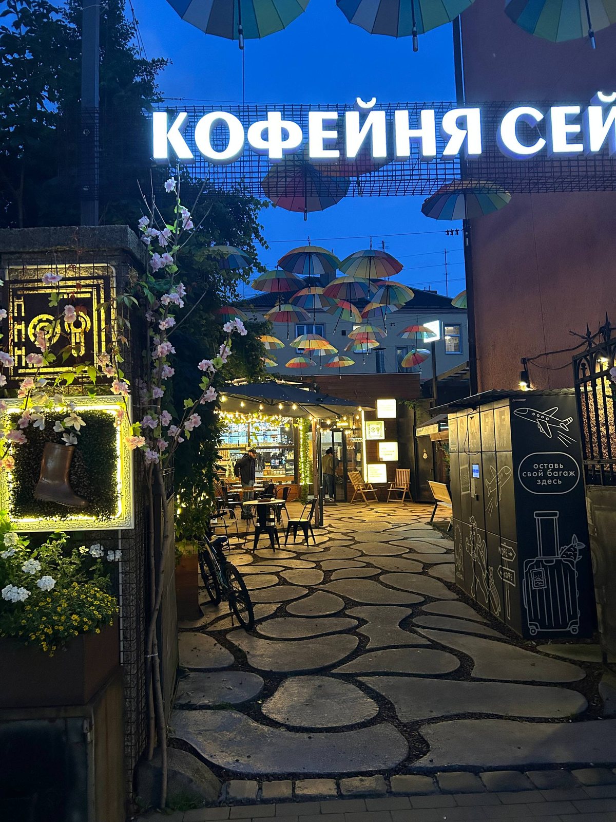 Кот во всю стену дома на Курортном проспекте