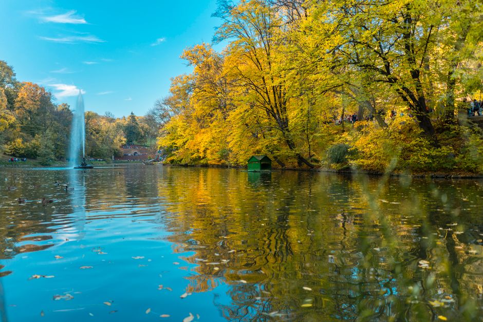 Тихий усадебный пруд в обрамлении осенних деревьев — вода, отражающая золото парка, задаёт то самое созерцательное настроение тургеневской прозы.