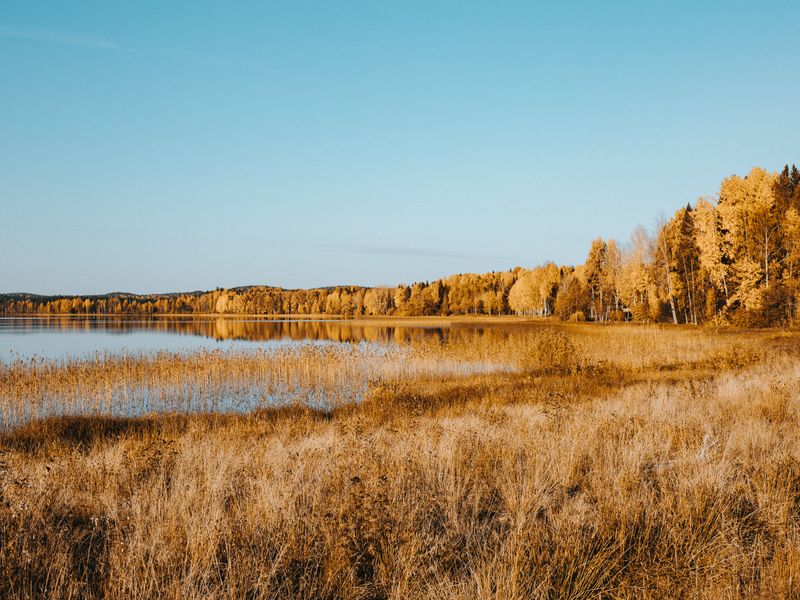 Карелия