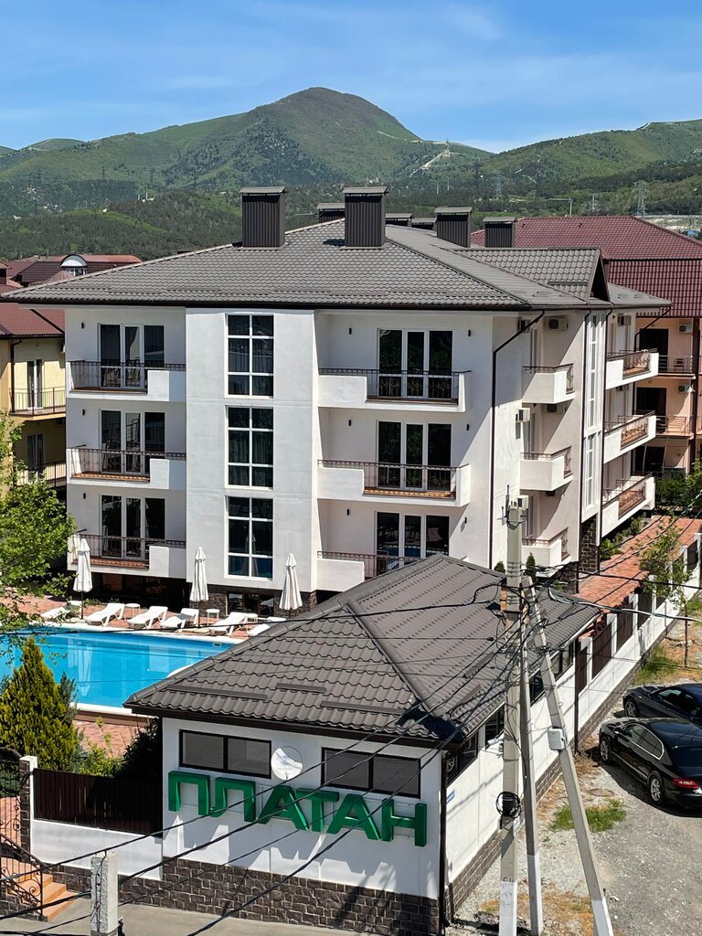 Платан
