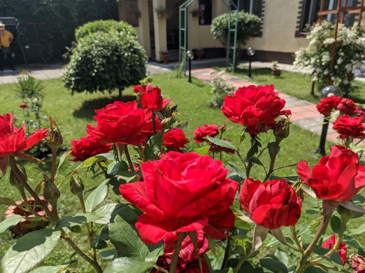 Тихая гавань